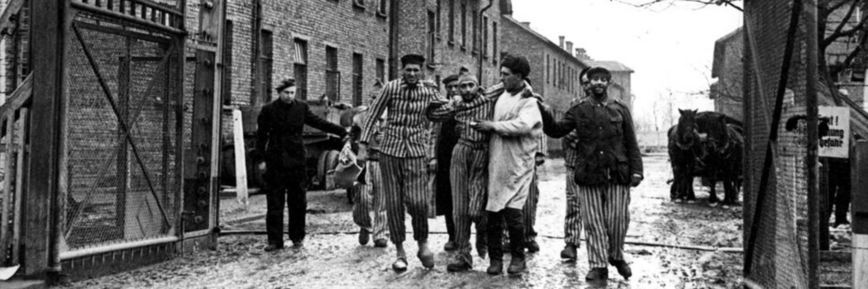 80 Jahre Auschwitz-Befreiung: «Wer schweigt, stimmt zu!»